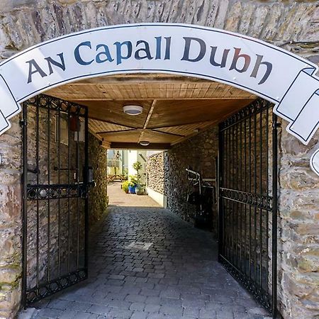 Dingle Centre Townhouse An Capall Dubh Dingle Eksteriør billede
